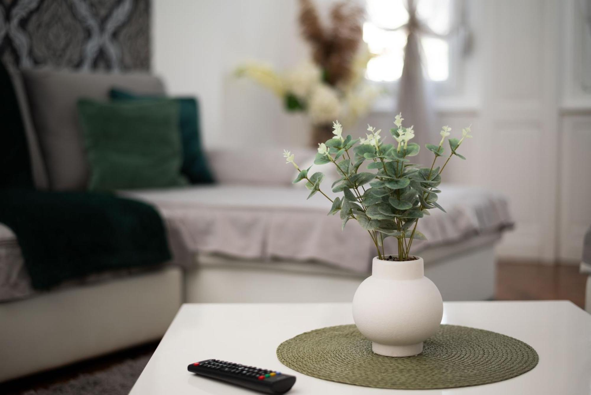 Apartment Primula スボティツァ エクステリア 写真