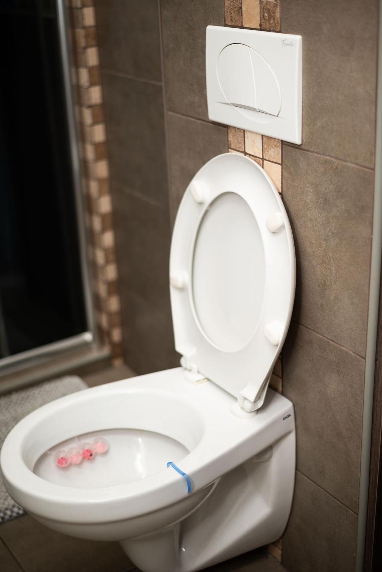 Apartment Primula スボティツァ エクステリア 写真